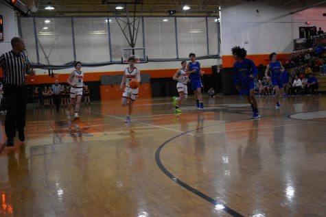 Clawing Their Way To Victory: Tigers VS RCB Leads To Season Section Title