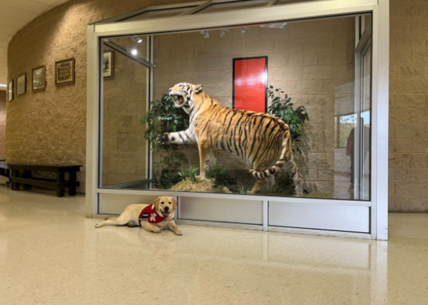 EHS Therapy Dog Celebrates Birthday