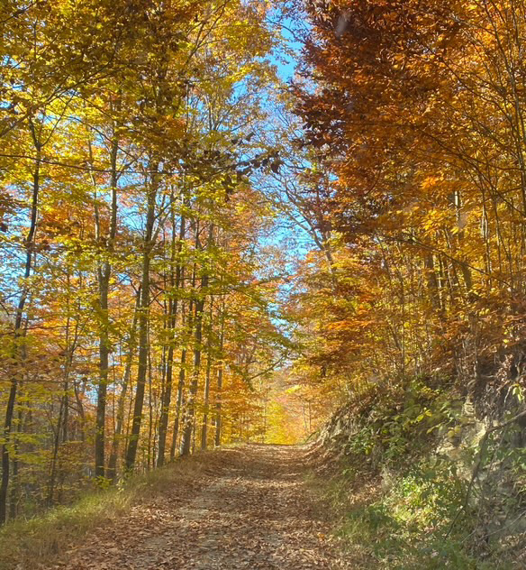 History of Appalachia