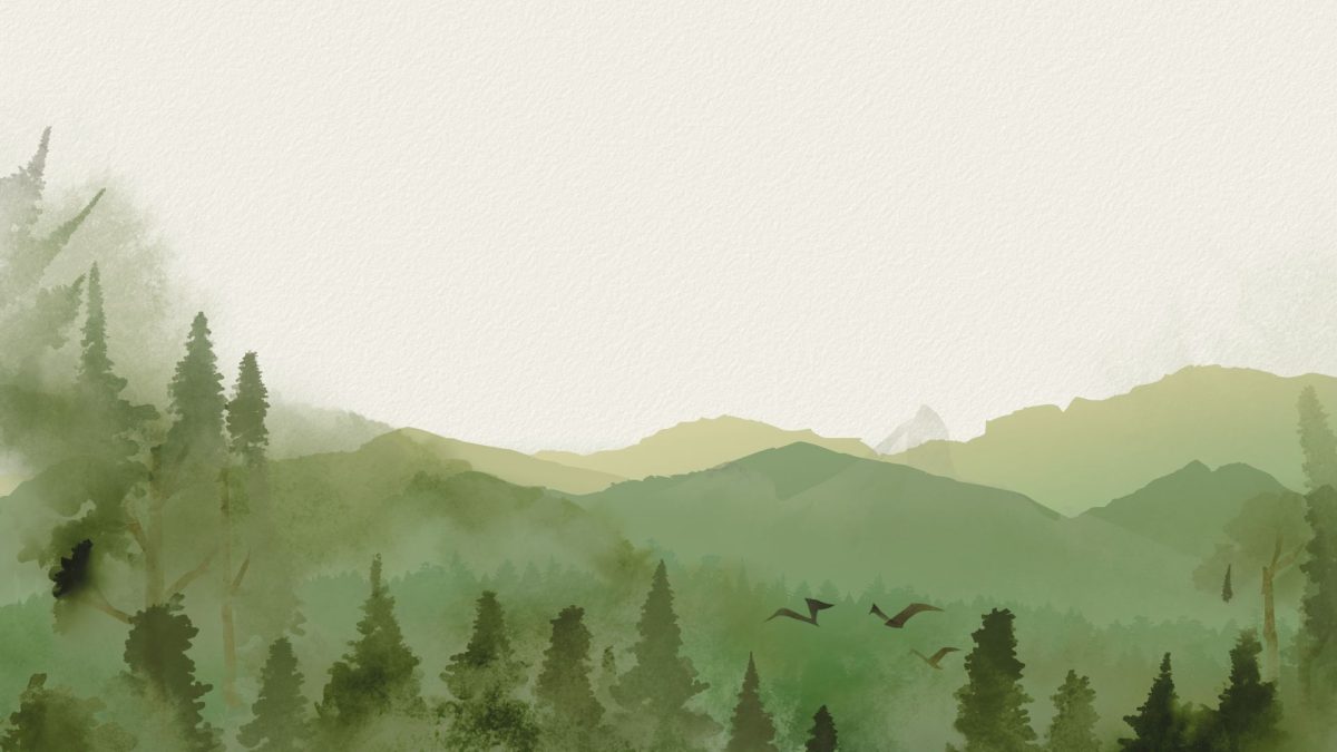 Littering in America: A Persistent Threat to Wildlife and the Environment